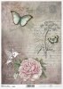 butterfly, background, Insekt, Vogel, Blume, Pfingstrose, Schrift, Postkarte, Handschrift, Kolibri, Schmetterling, Hintergrund, insecto, pájaro, flor, peonía, escritura, tarjeta postal, escritura a mano, colibrí, mariposa, fondo 